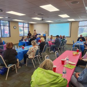 VIP BINGO